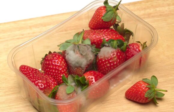 Make strawberries last for ‘10 days’ with three easy storage solutions