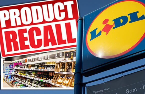 Lidl GB recalls popular frozen meat product for fears of plastic contamination
